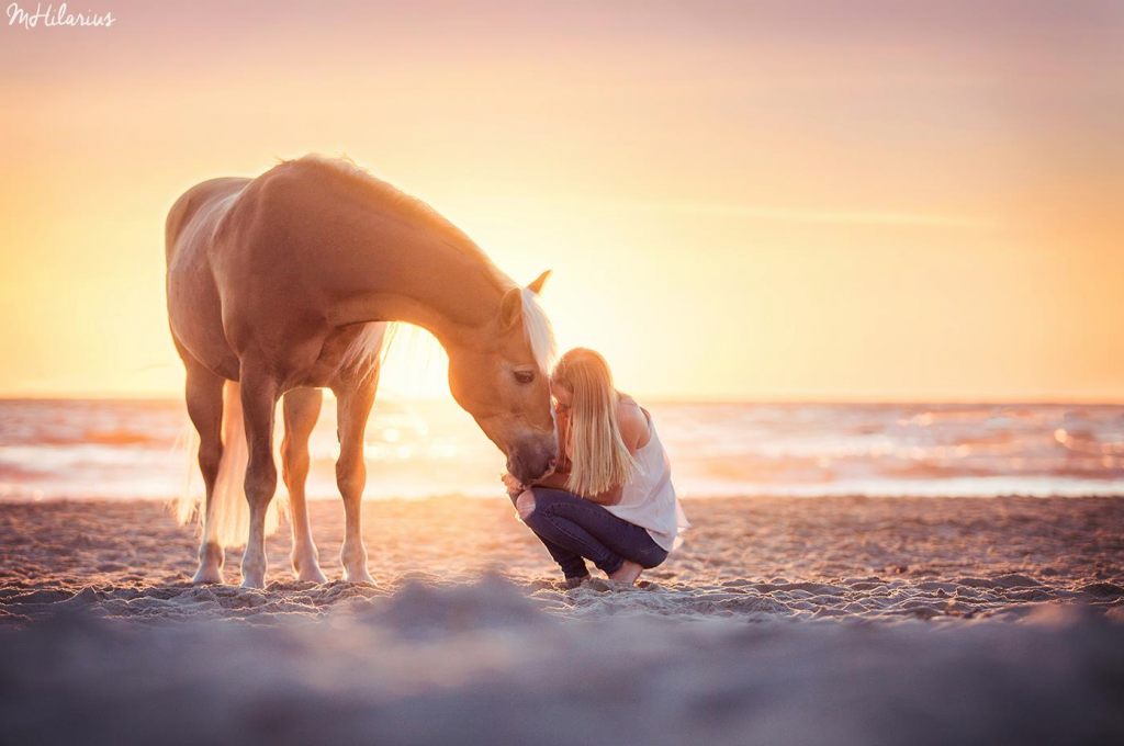 Meisje met paard zonsondergang